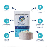 Chicken & Rice Bland Diet For Dogs - Under the Weather
