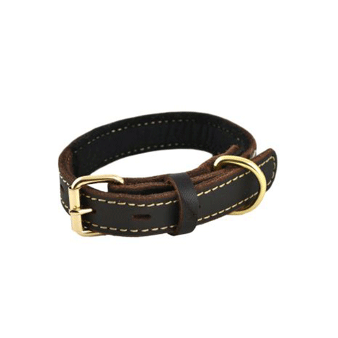 Leather Dog Collar - Tall Tails
