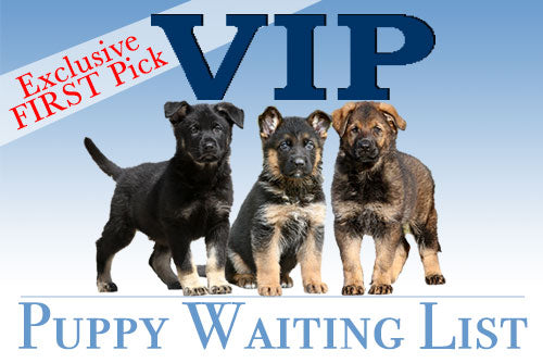 VIP Puppy Waiting List – Canine Extreme Store